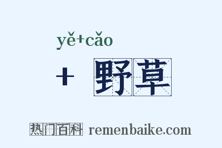  野草是什么意思的图片